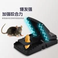 New Mouse Catcher